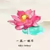 一花一世界ios版