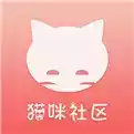 猫咪社区官网在线最新免费